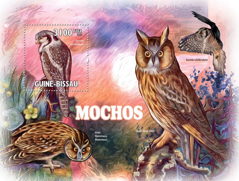 Owls. - Issue of Guinée-Bissau postage stamps
