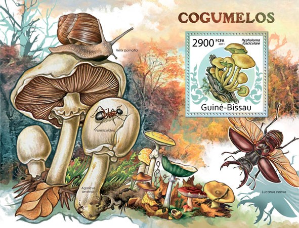 Mushrooms. - Issue of Guinée-Bissau postage stamps