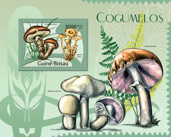 Mushrooms, (Armillaria robusta). - Issue of Guinée-Bissau postage stamps