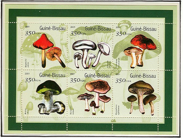 Champignons - Mushrooms   6 x 350 FCFA - Issue of Guinée-Bissau postage stamps