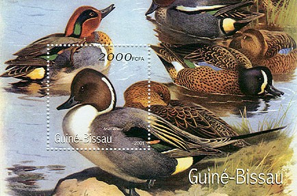Canards - Duck 2000 FCFA S/S - Issue of Guinée-Bissau postage stamps