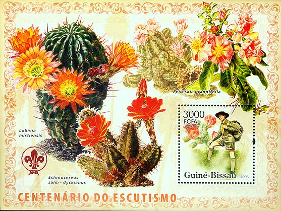 Centenary Scouts, cactus S/s 3000 - Issue of Guinée-Bissau postage stamps