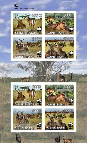 WWF Sheet of 2 sets - Imperforated 8v x 500 FCFA - Issue of Guinée-Bissau postage stamps