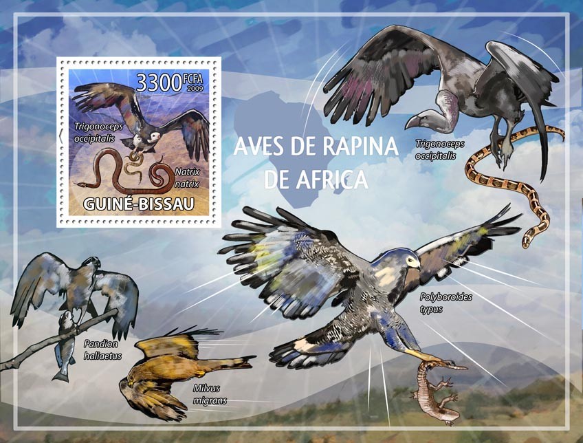African birds of prey - Issue of Guinée-Bissau postage stamps