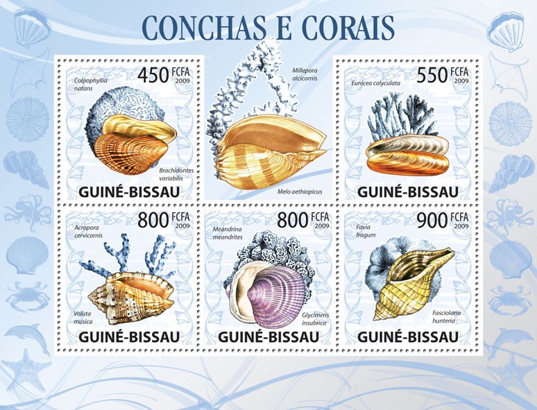 Shells & Corals - Issue of Guinée-Bissau postage stamps