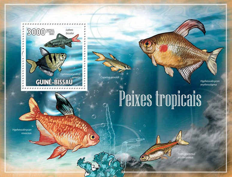 Tropical Fishes - Issue of Guinée-Bissau postage stamps