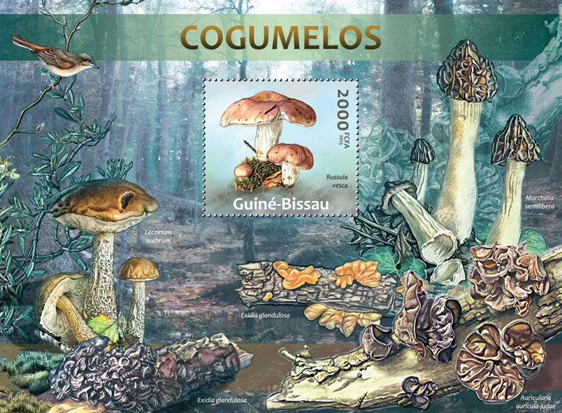 Mushrooms - Issue of Guinée-Bissau postage stamps