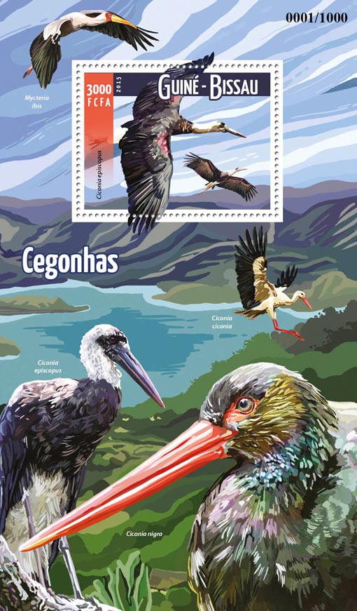 Storks - Issue of Guinée-Bissau postage stamps
