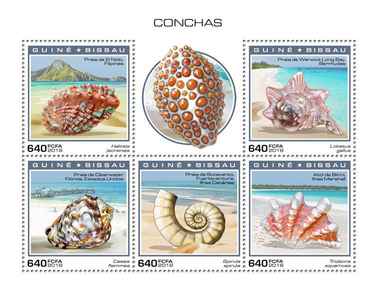 Shells - Issue of Guinée-Bissau postage stamps
